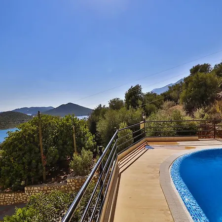 نيرفانا * كاس